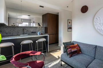 Bright modern living room with kitchen bar and sofa.